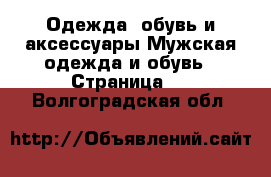 Одежда, обувь и аксессуары Мужская одежда и обувь - Страница 2 . Волгоградская обл.